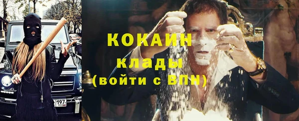 стаф Алексин
