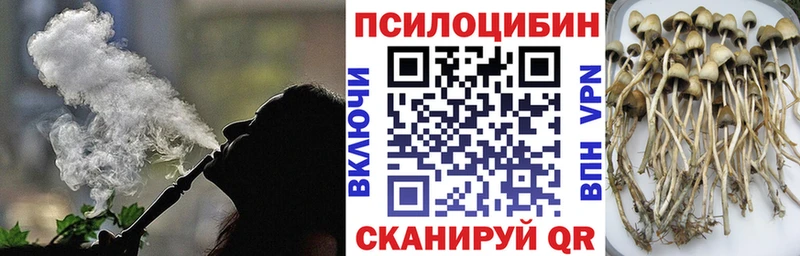 Галлюциногенные грибы Psilocybine cubensis  Кинешма 