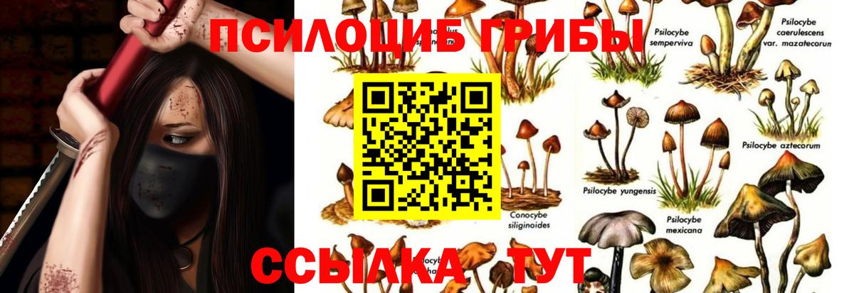 Псилоцибиновые грибы Cubensis  Вход с VPN  Псилоцибиновые грибы GOLDEN TEACHER  Кинешма 